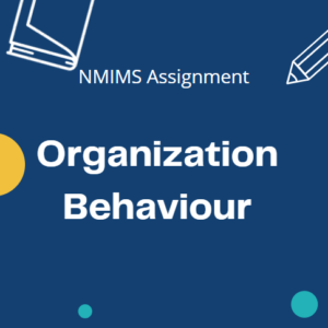 nmims assignment solution dec 2021