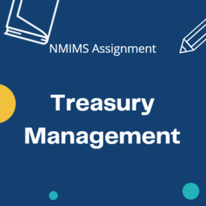 nmims assignment solution dec 2021